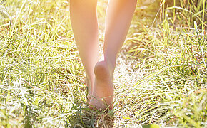 bare feet of children on a barbed green grass in the evening at sunset